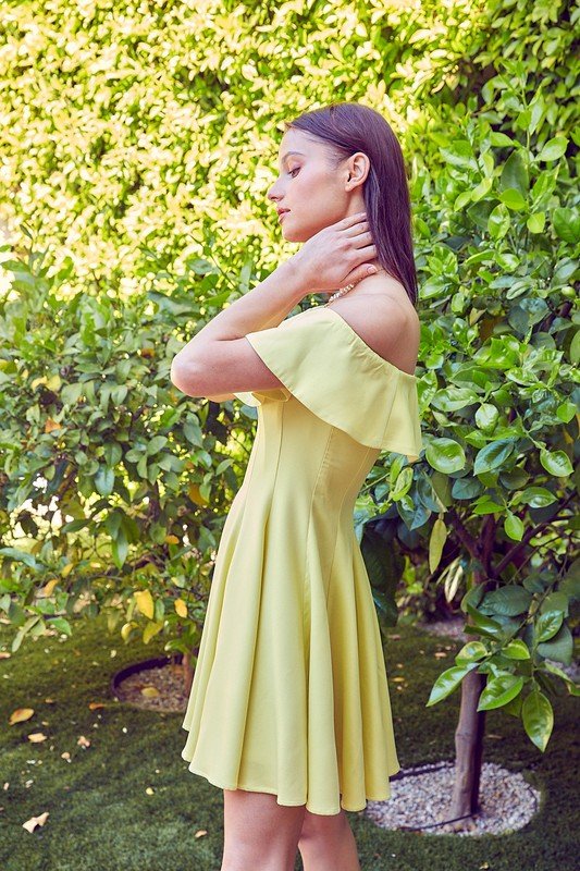 A Line Ruffle Dress - Dress - Lanamoore